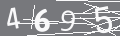 capsa